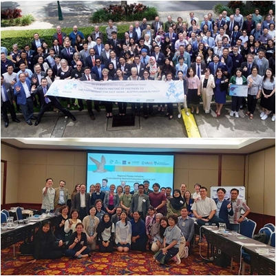 11th Meeting of Partners (MOP11) of the East - Australasian Asian Flyway Partnership (EAAFP)