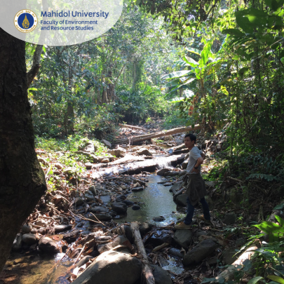ความหลากหลายชนิดไม้ยืนต้น มวลชีวภาพเหนือพื้นดิน และการกักเก็บคาร์บอนของป่าต้นน้ำในจังหวัดพะเยา ประเทศไทย