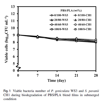 การเติม Pseudomonas geniculata WS3 ลงในดิน สำหรับเร่งกระบวนการย่อยสลายทางชีวภาพของ PBS/PLA blends ที่เติมสาร HPQM 