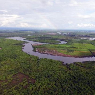 อินทรีย์คาร์บอนในดินพื้นที่ชุ่มน้ำ ของป่าบุ่ง ป่าทาม ภาคตะวันออกเฉียงเหนือ ของประเทศไทย